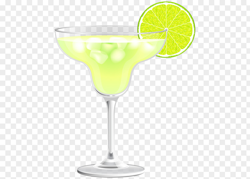 Cocktail Garnish Margarita Martini Daiquiri PNG