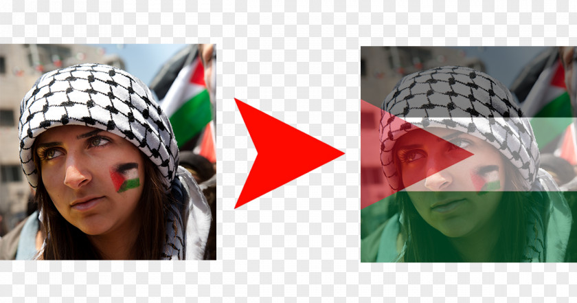 Flag Palestine 1948 Palestinian Exodus Nakba Day Israeli–Palestinian Conflict Palestinians National Authority PNG