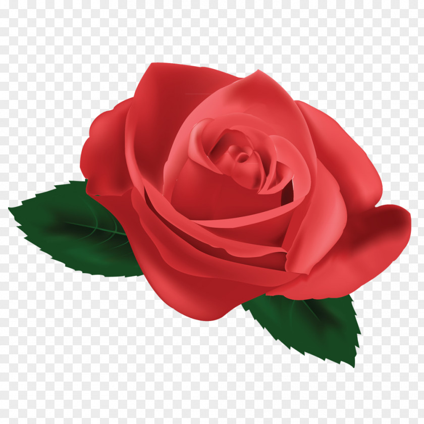 Garden Roses Hairstyle Red Capelli PNG