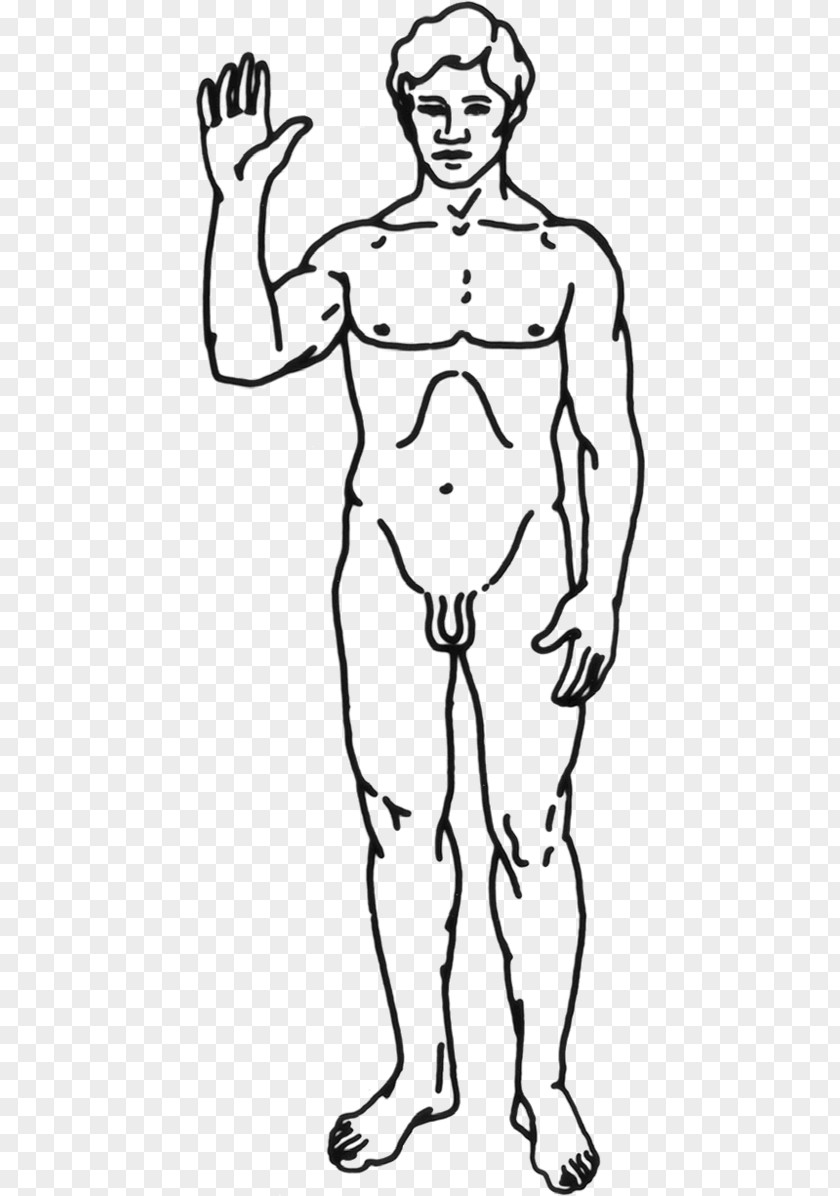 Humen Clip Art Human Body GIF Vector Graphics PNG