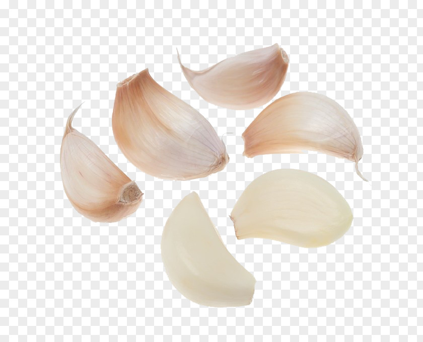 Minced Garlic Solo Oil Of Clove Mincing Food PNG