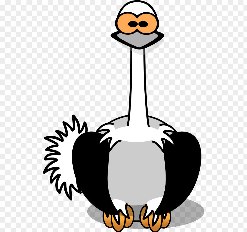 Ostrich Common Bird Cartoon Clip Art PNG