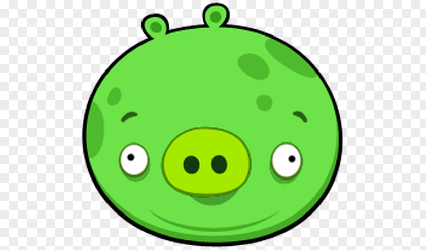 Pig Bad Piggies Angry Birds Epic Seasons PNG