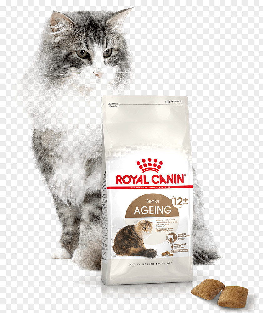 Baner Cat Food Norwegian Forest Persian British Shorthair Maine Coon PNG