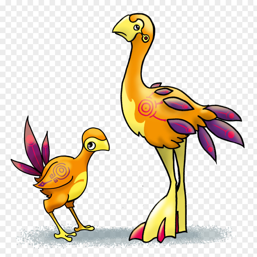 Bird Elephant Moa Chicken Flightless PNG