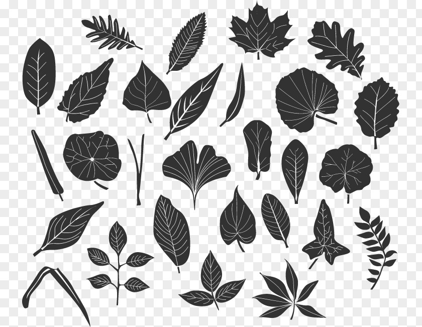 Black And White Leaf PNG
