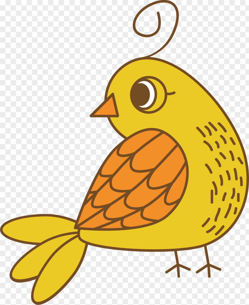 Cartoon Sparrow Vector Bird Drawing PNG
