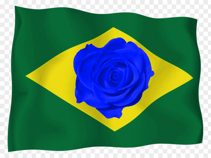 Garden Roses Flag Of Brazil PNG