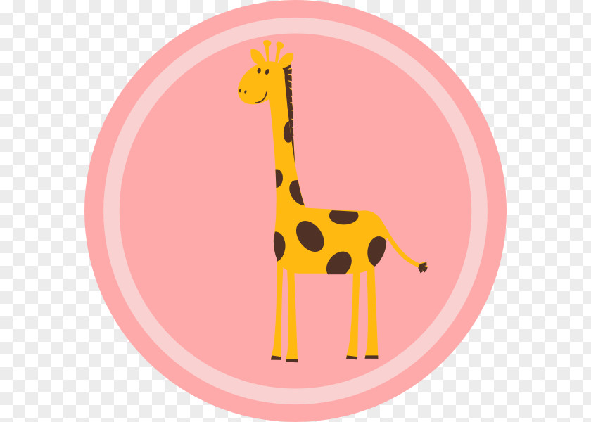 Giraffe Vector Mammal Clip Art PNG