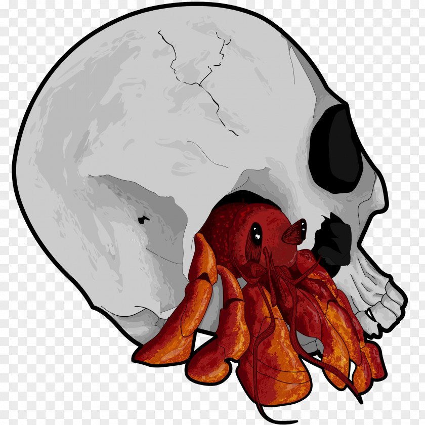 Hermit Crab DeviantArt Art Museum PNG