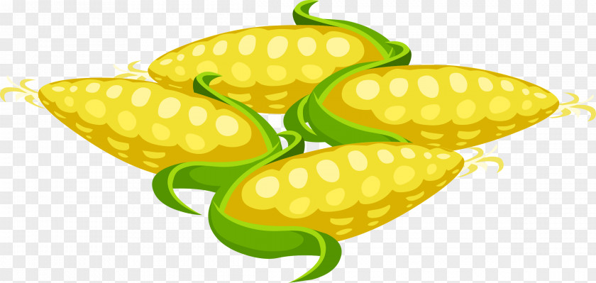 Nutrition Corn On The Cob Popcorn Sweet Food Clip Art PNG