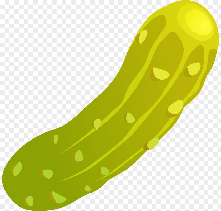 Panini Cliparts Pickled Cucumber Color Pickle Dill Jar Clip Art PNG