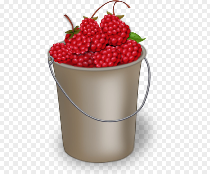 Raspberry Red Berries Fruit Clip Art PNG