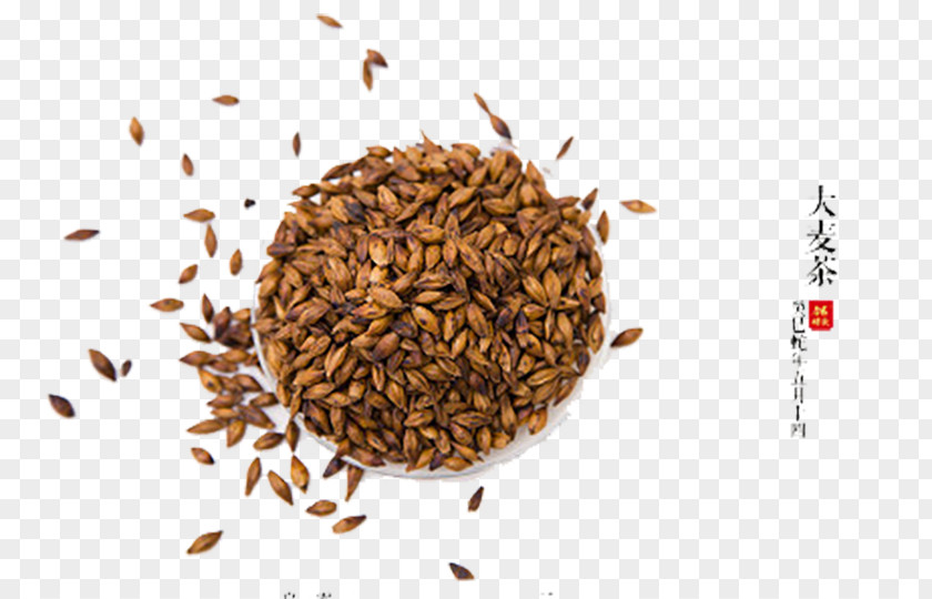 Barley Tea PNG