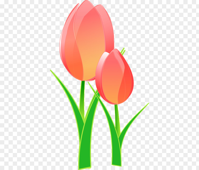 Friendship Quilt Tulips Indira Gandhi Memorial Tulip Garden Clip Art Vector Graphics Openclipart PNG