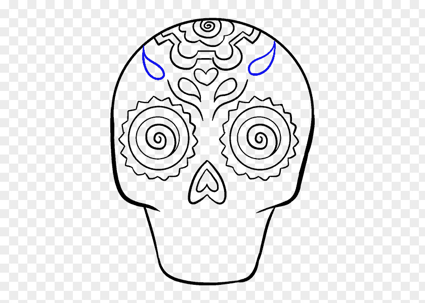 Skull Calavera Drawing Art Sketch PNG