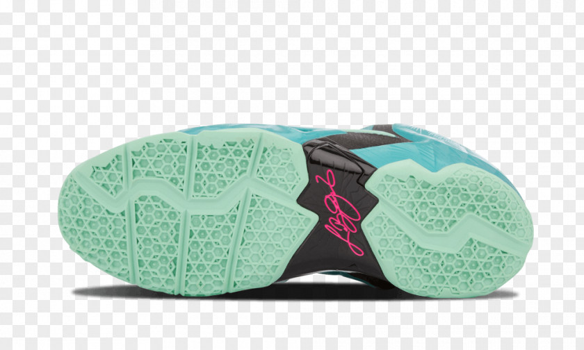 Lebron 9 South Beach Sports Shoes Nike 11 GS Slipper PNG