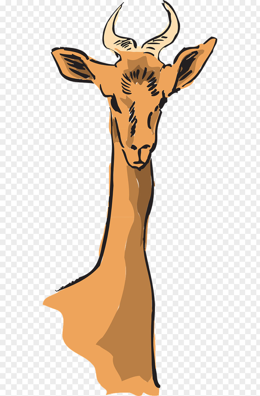 Longhorn Antelope Giraffe Deer Impala Clip Art PNG