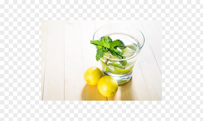 Mint Leaf Mojito Lemonade Limeade Limonana PNG