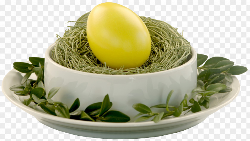 Nest Easter Bunny Egg Desktop Wallpaper PNG