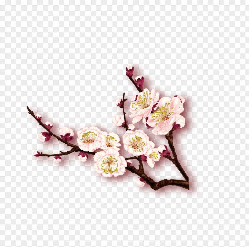Plum Flower Blossom Winter PNG