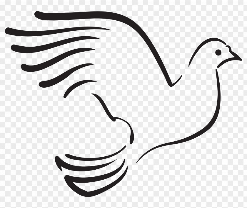 Vbs 2017 Vector Graphics Stock Photography Doves As Symbols Illustration Image PNG