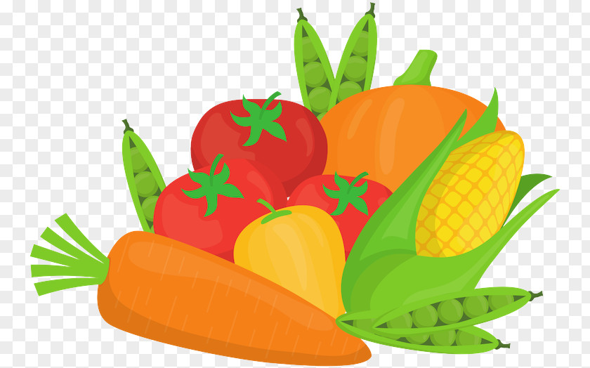 Vegan Nutrition Vegetarian Food Natural Foods Vegetable Leaf Carrot PNG