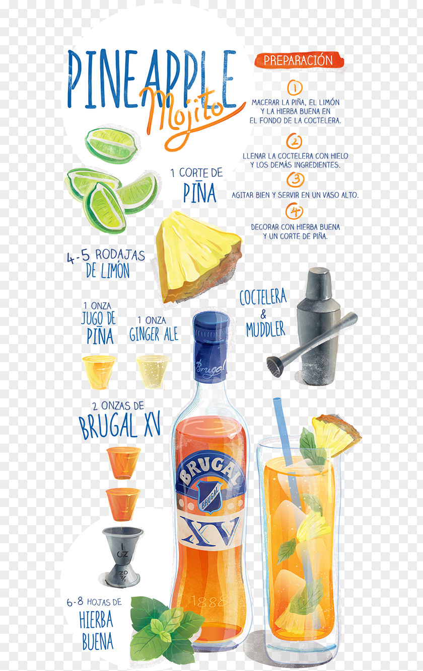 Cocktail Orange Drink Smoothie Garnish Crisp PNG