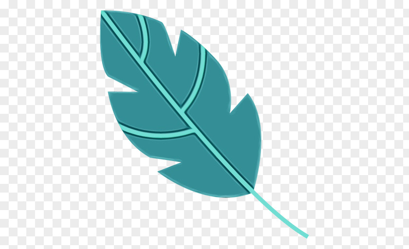 Feather PNG