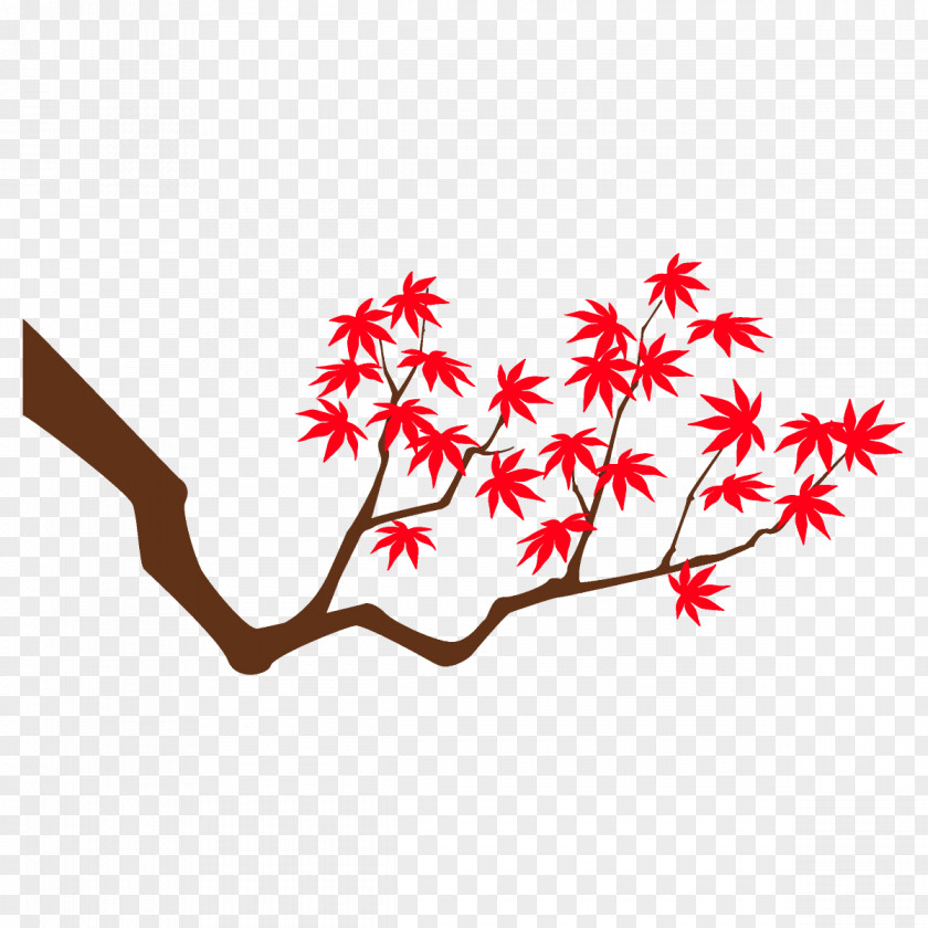 Flower Twig Maple Branch Leaves Autumn Tree PNG