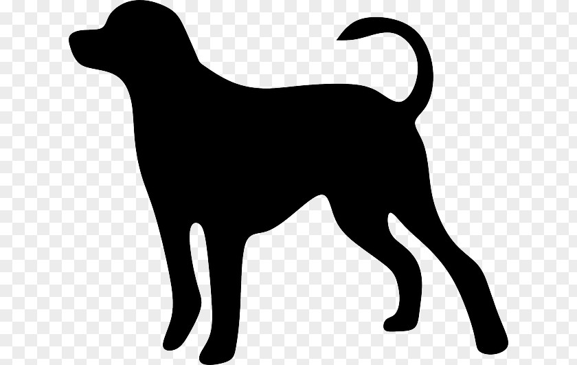 Gradual Vector Dog Cat Pet Animal Loss PNG