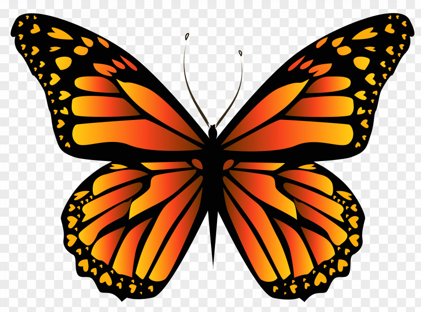 Orange Butterfly Clipar Image Purple Clip Art PNG