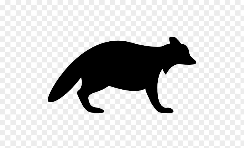 Wild Life Raccoon Silhouette Crows PNG