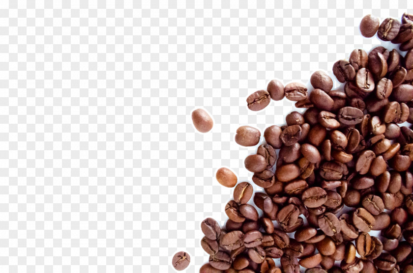 Coffee Beans The Bean & Tea Leaf Espresso Cafe Dolce Gusto PNG