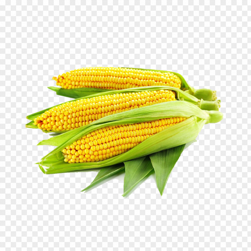 Corn White Pull Away Maize Photography Ear PNG