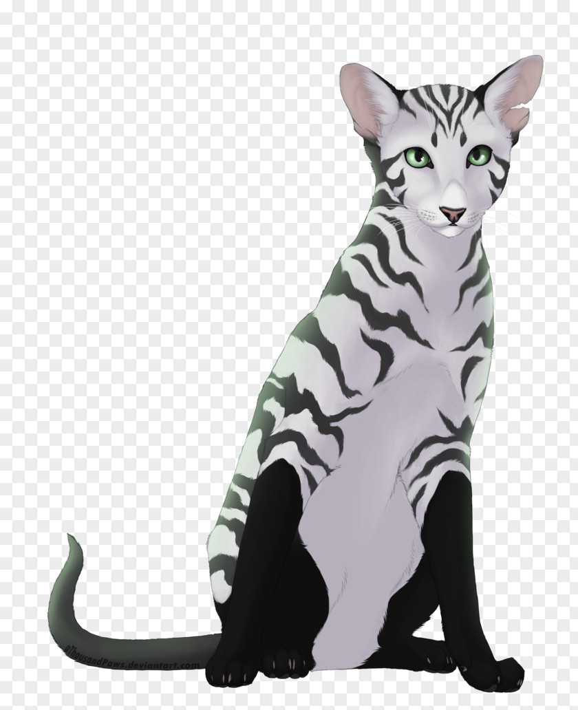 Ferret Drawings Oc Domestic Short-haired Cat American Shorthair Toyger European Egyptian Mau PNG
