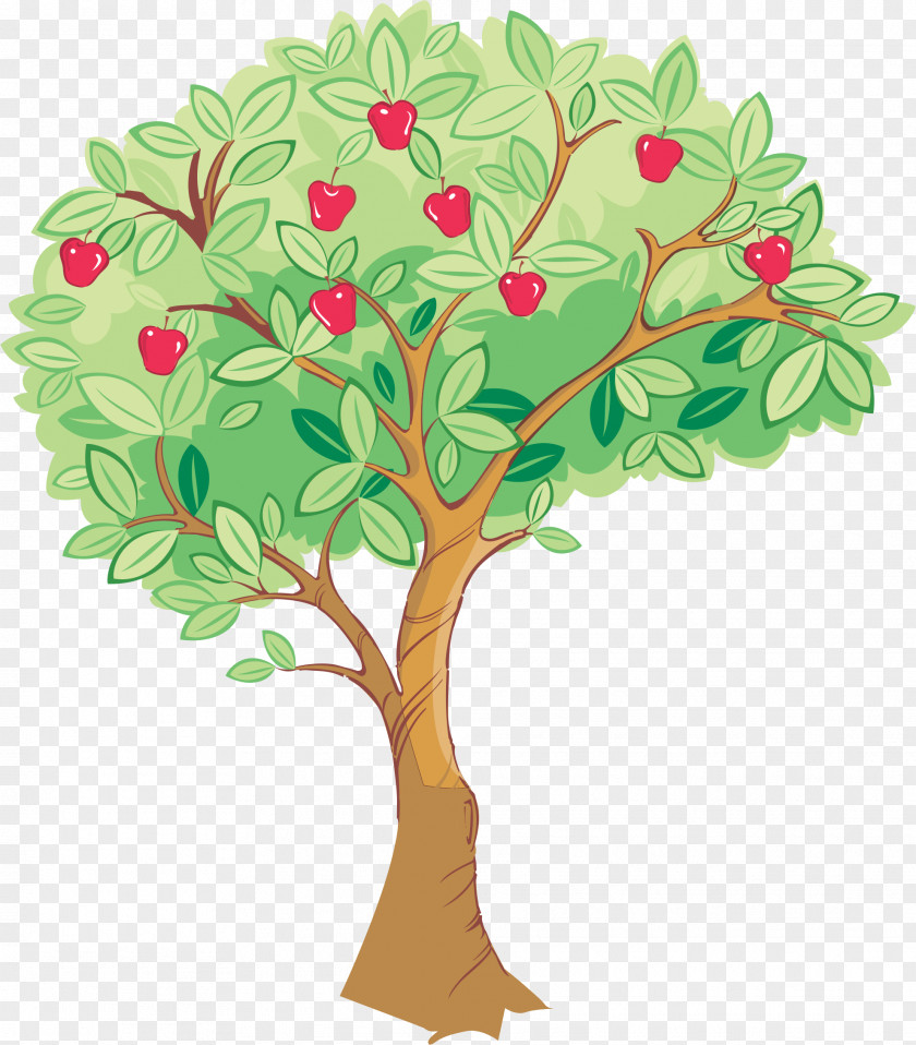 Green Apple Tree Drawing PNG