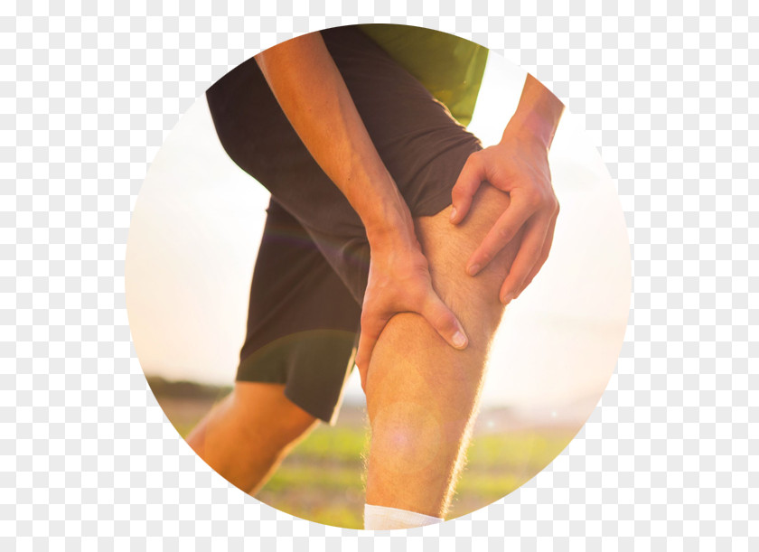 Knee Pain Exercise Arthritis Physical Therapy Glucosamine PNG