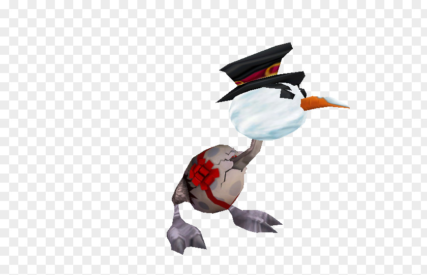 Duck Video Puffin PNG
