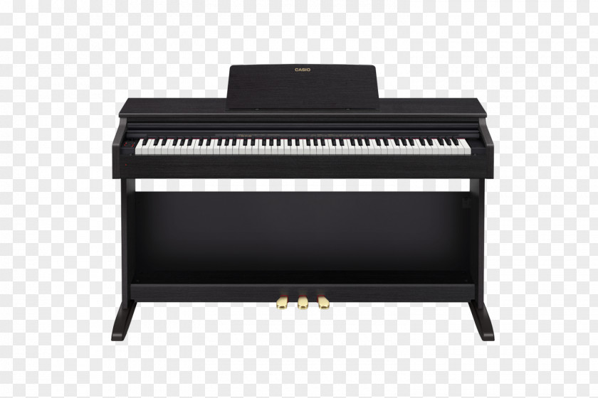 Electronic Piano Digital Privia Musical Instruments Electric PNG