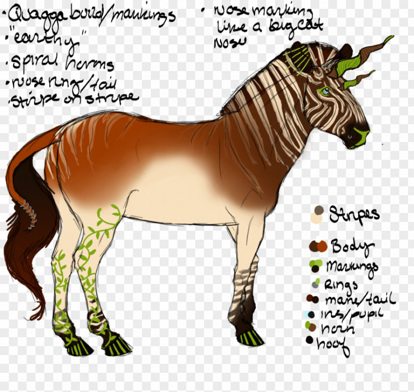 Mustang Mule Stallion Mare Mane PNG