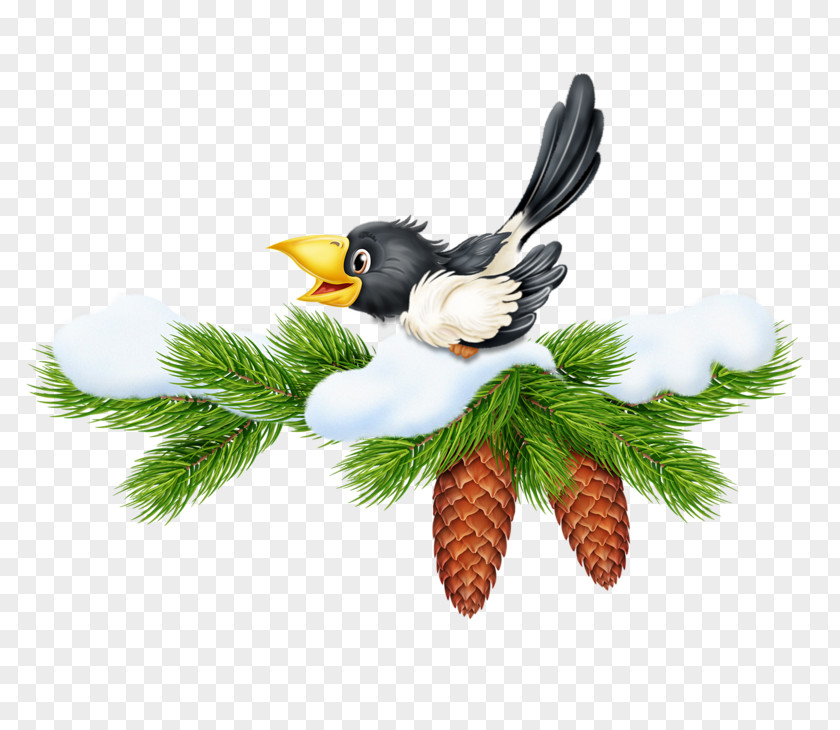 Pine Crow Christmas Gift New Year PNG