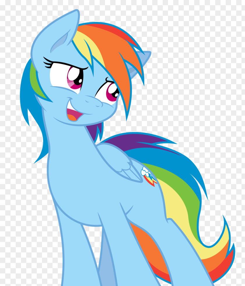 My Little Pony Rainbow Dash Fluttershy Twilight Sparkle Rarity PNG