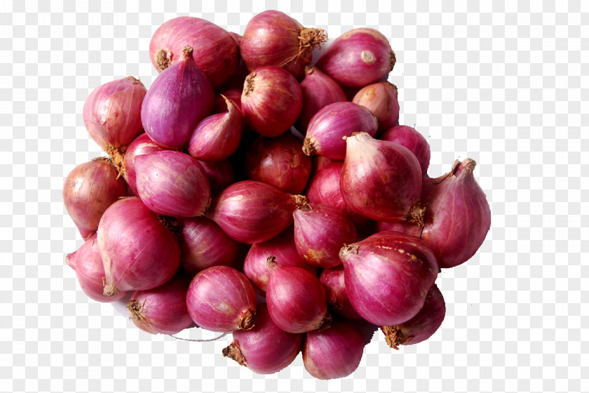 Onions Sambar Shallot Vegetable Red Onion Potato PNG