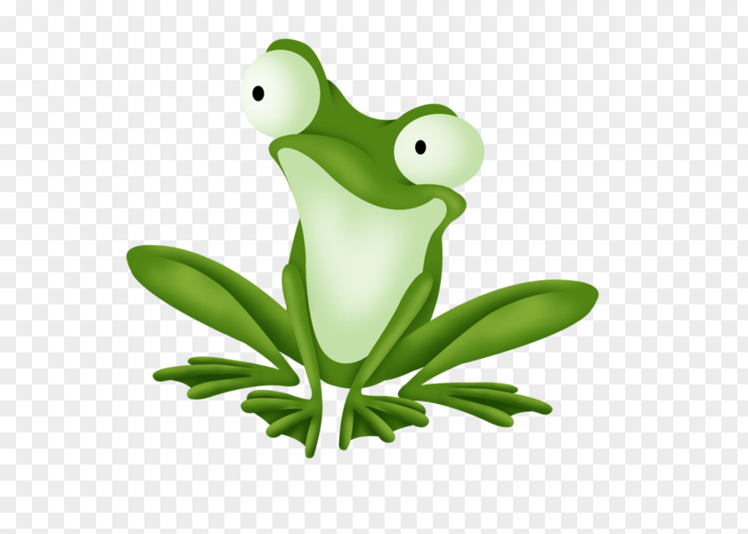 Cartoon Frogs Edible Frog Rana PNG