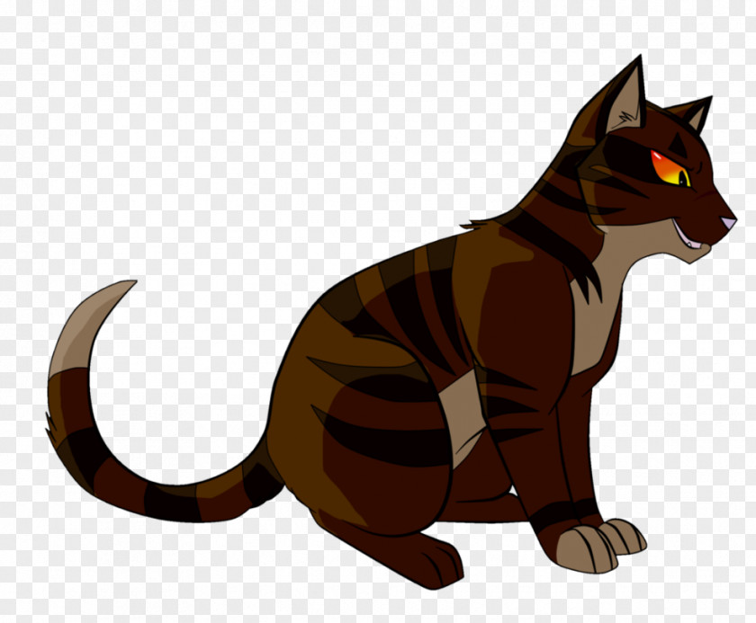 Cat Kitten Whiskers Tigerstar Warriors PNG