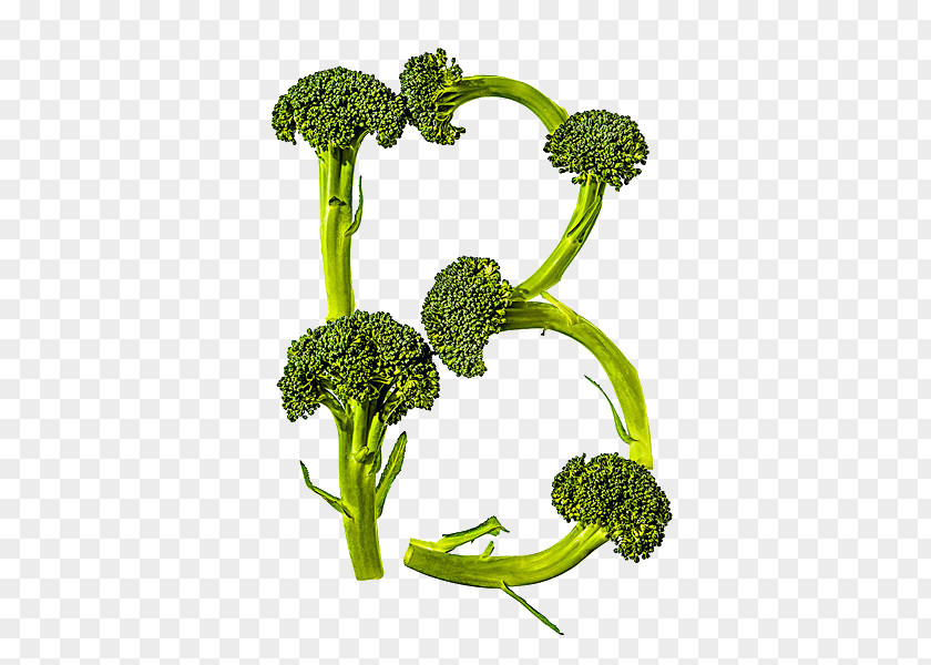 Cauliflower Alphabet B Broccoli Food Vegetable PNG
