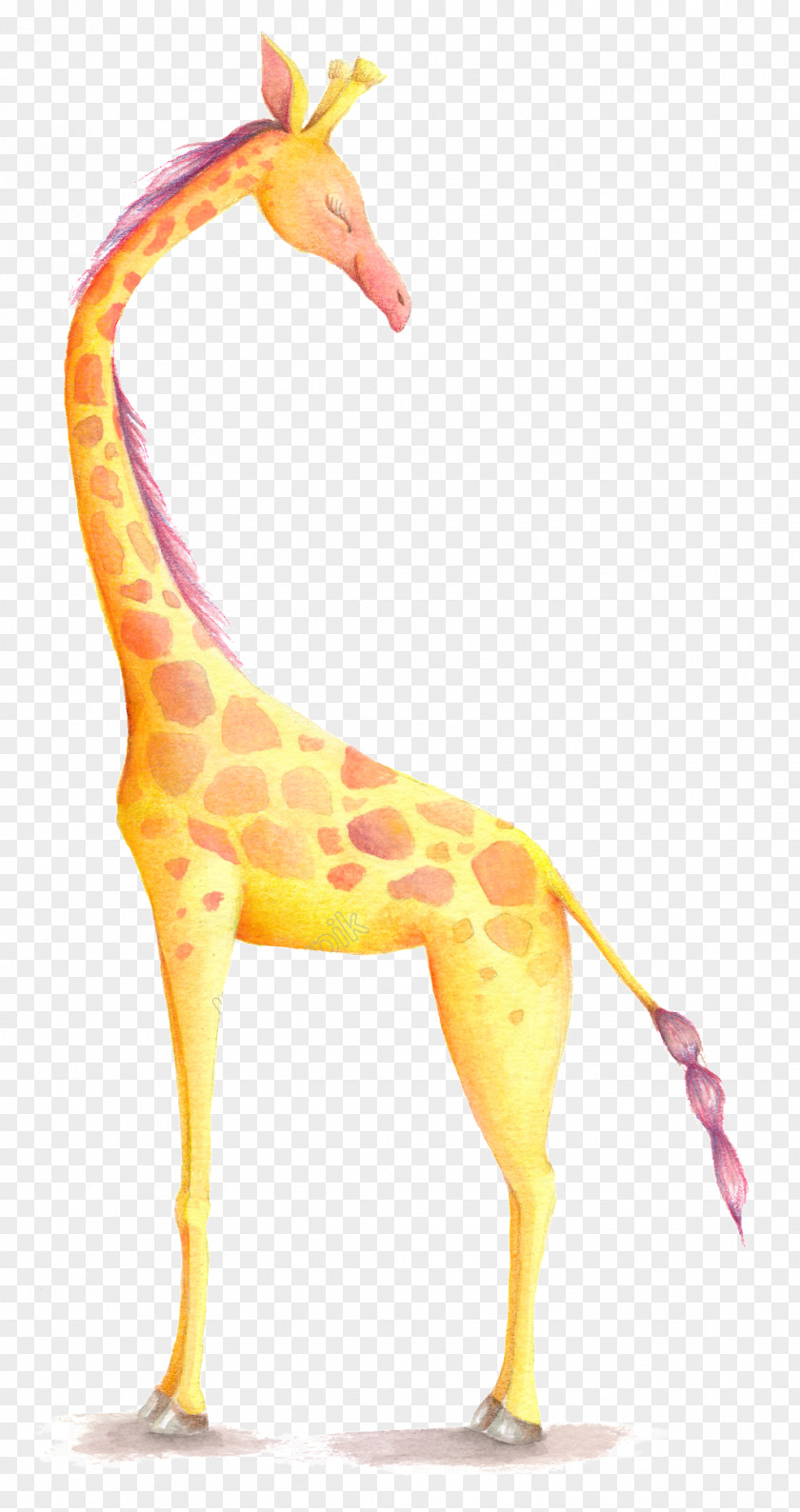 Giraffe Png Vector Jehovah's Witnesses Poster Bible PNG