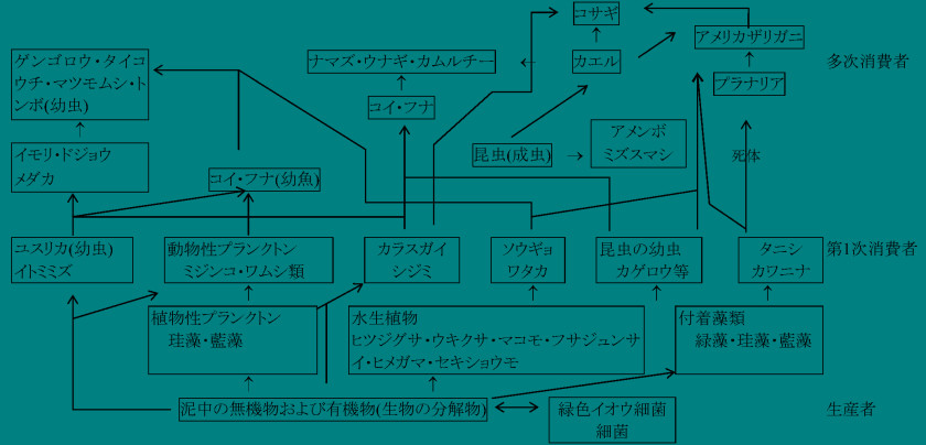 Line Drawing Diagram /m/02csf Angle PNG