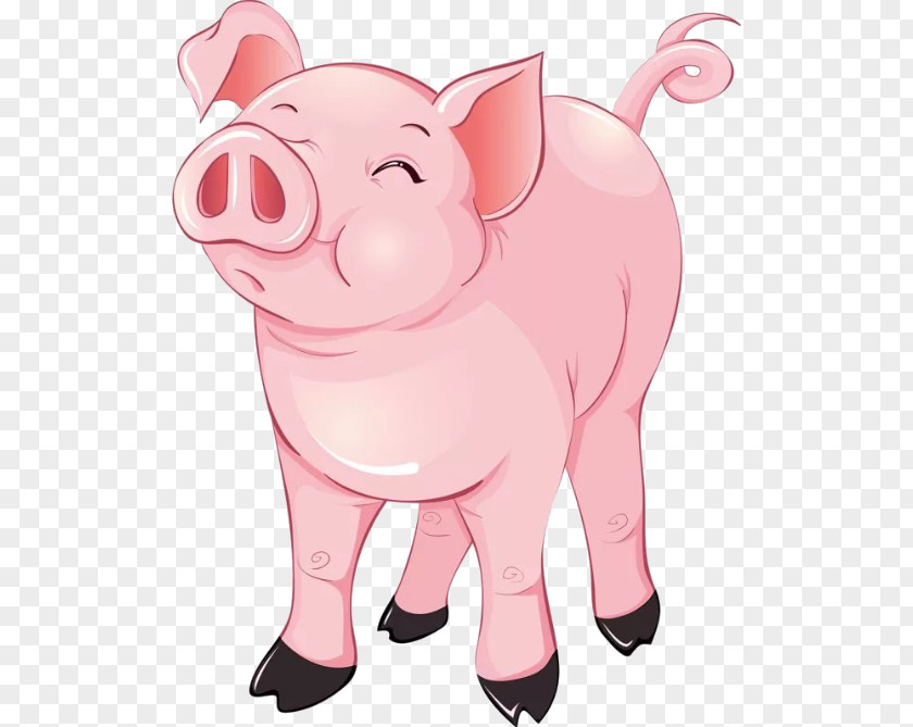 Pig Domestic Piglet Clip Art PNG